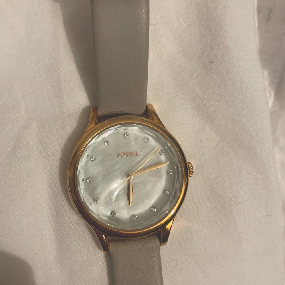 Fossil Watch